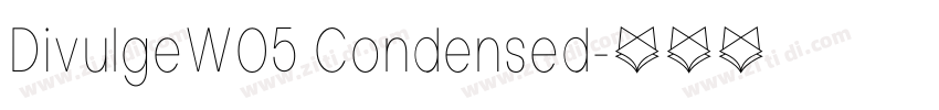 DivulgeW05 Condensed字体转换